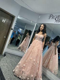 Sherri hill  Pink Size 2 Sheer Embroidery Sherri Hill Ball gown on Queenly