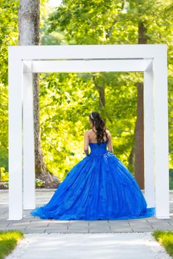 Mori Lee Royal Blue Size 2 Sweet 16 Medium Height Sequined Ball gown on Queenly