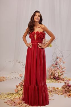 Style Leonie Alamour The Label Burgundy Size 0 Floor Length Plunge Mini Straight Dress on Queenly
