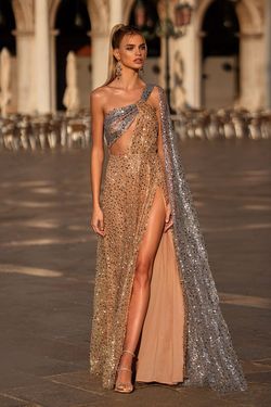 Style Saffira Alamour The Label Multicolor Size 16 Plunge Floor Length Cape Side slit Dress on Queenly