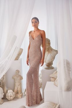 Style Elsa Alamour The Label Nude Size 4 Floor Length Prom Sheer Straight Dress on Queenly