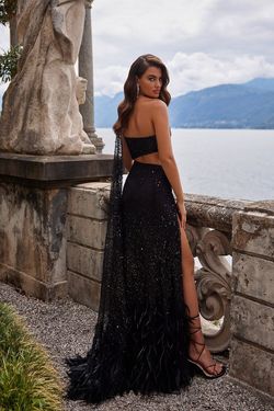 Style Delphie Alamour The Label Black Size 16 Floor Length Tall Height Side slit Dress on Queenly