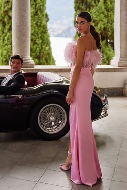 Style Feodora Alamour The Label Pink Size 16 Black Tie Feather Tall Height Side slit Dress on Queenly