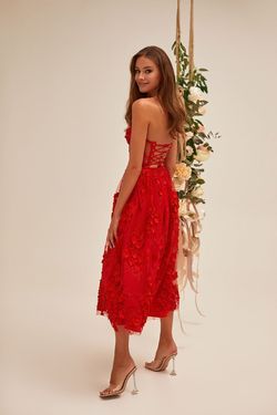 Style Dakota Alamour The Label Red Size 0 Sheer A-line Midi Cocktail Dress on Queenly