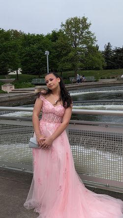 Ashley Rene  Light Pink Size 2 Embroidery Prom Ball gown on Queenly