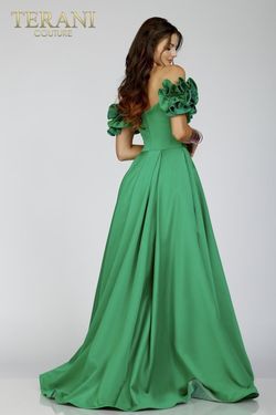Style 231E0514 Terani Couture Green Size 8 Tall Height Pageant Ball gown on Queenly