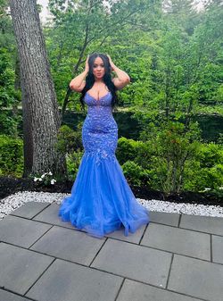 Ellie Wilde Purple Size 10 Floor Length Mermaid Dress on Queenly
