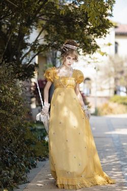 Wonderland By Lilian Yellow Size 6 Embroidery Bridgerton Floor Length A-line Dress on Queenly
