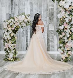Style Angelique Luxe Collection Bridal Nude Size 10 Straight Sweetheart Angelique A-line Dress on Queenly