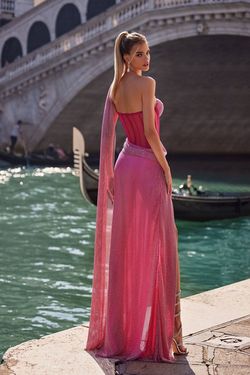 Style Sidney Alamour The Label Pink Size 16 Tall Height Floor Length Side slit Dress on Queenly