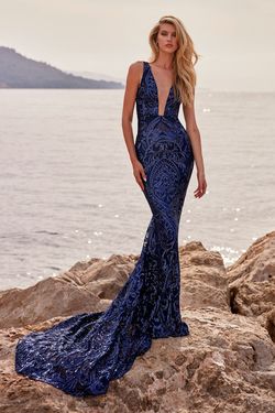 Style Salma Alamour The Label Blue Size 0 Navy Sequined Mermaid Dress on Queenly