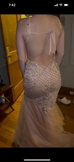 Terani Couture Pink Size 4 Plunge Floor Length Prom Mermaid Dress on Queenly