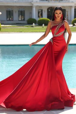 Style PS23460 Portia and Scarlett Red Size 2 Tall Height Sheer Mermaid Dress on Queenly