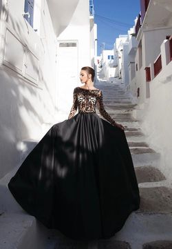 Tarik Ediz Black Size 8 Floor Length Sheer Ball gown on Queenly