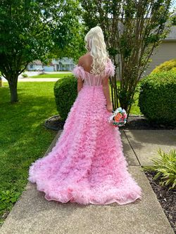 Sherri Hill Pink Size 2 Pageant Prom Floor Length Ball gown on Queenly