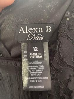 Alexa B Nites Black Size 12 Plunge A-line Dress on Queenly