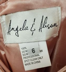 Angela & Alison Pink Size 6 Corset Sheer Cocktail Dress on Queenly