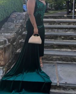 Style Prom dress  Lynira Label Green Size 14 Prom Dress  Floor Length Velvet Train Dress on Queenly