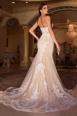 Style WL008 Cinderella Divine Nude Size 10 Floor Length Sleeves Tall Height Mermaid Dress on Queenly