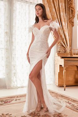 Style CD0207W Cinderella Divine White Size 20 Feather Plus Size Train Side slit Dress on Queenly
