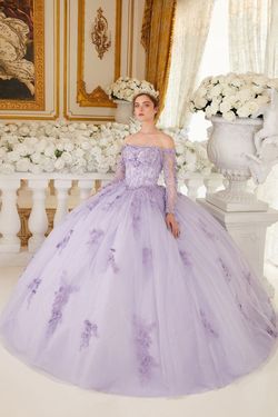 Style 15706 Cinderella Divine Purple Size 0 Quinceanera Tulle Ball gown on Queenly