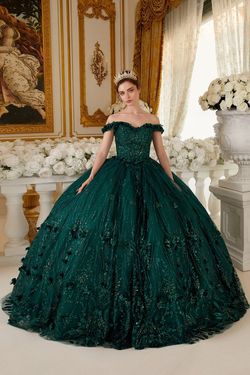 Style 15704 Cinderella Divine Green Size 4 Embroidery Floral Tulle Ball gown on Queenly