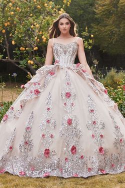 Style 15703 Cinderella Divine Nude Size 4 A-line Embroidery Ball gown on Queenly