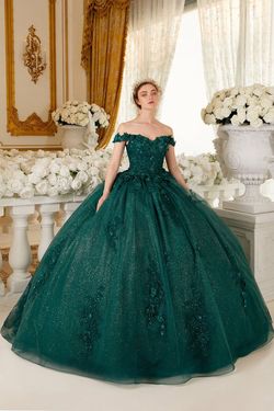Style 15702 Cinderella Divine Green Size 4 Floral Cap Sleeve Floor Length Corset Ball gown on Queenly