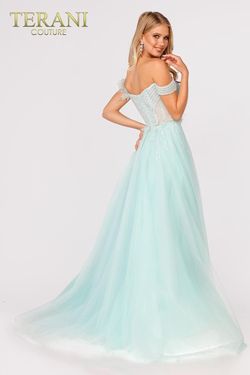 Style 231E0520 Terani Couture Green Size 8 Tall Height Floor Length Ball gown on Queenly