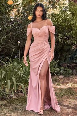 Style CDKV1057 Cinderella Divine Pink Size 8 Floor Length Side slit Dress on Queenly