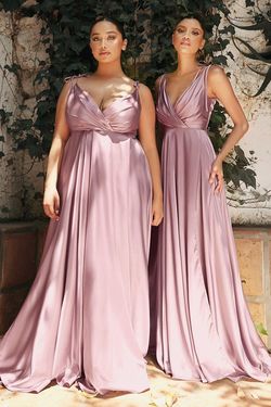 Style CDBD105 Cinderella Divine Pink Size 20 Plus Size Floor Length Spaghetti Strap Side slit Dress on Queenly