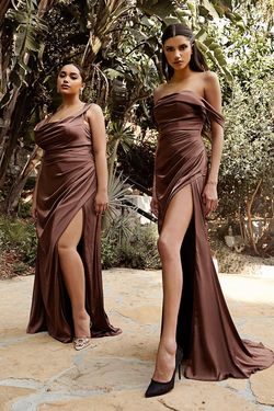 Style CD7488C Cinderella Divine Brown Size 20 Plus Size Side slit Dress on Queenly