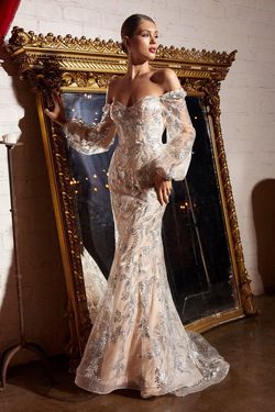 Style CDJ816 Cinderella Divine Silver Size 14 Plus Size Mermaid Dress on Queenly