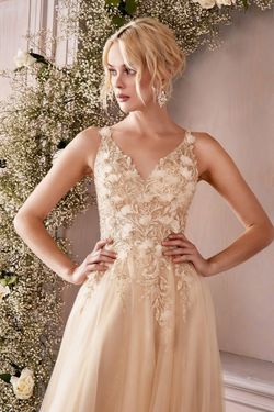 Style CD0181 Cinderella Divine Gold Size 16 Tulle Floor Length Plus Size A-line Dress on Queenly