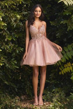 Style CD0189 Cinderella Divine Pink Size 20 Plus Size Prom Spaghetti Strap Cocktail Dress on Queenly