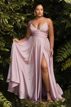 Style CD7485C Cinderella Divine Pink Size 18 Plus Size Prom Tall Height A-line Dress on Queenly