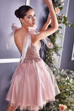 Style CD0174 Cinderella Divine Pink Size 20 V Neck Tall Height Mini Tulle Lace Cocktail Dress on Queenly