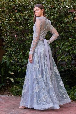 Style CD233 Cinderella Divine Silver Size 14 Floor Length Sleeves A-line Dress on Queenly