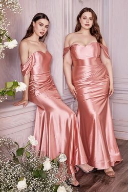 Style CDCH163C Cinderella Divine Pink Size 28 Sweetheart Floor Length Mermaid Dress on Queenly