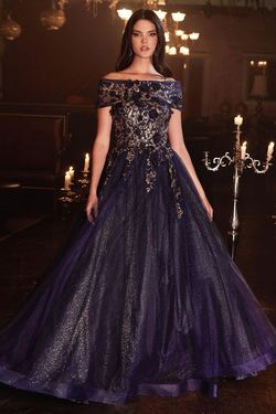 Style CD955 Cinderella Divine Blue Size 6 Prom Navy Fitted Floor Length A-line Dress on Queenly