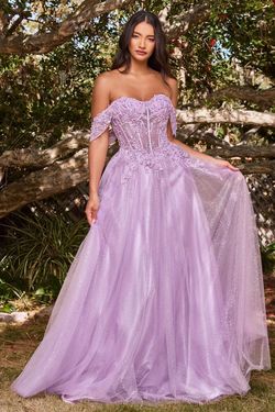 Style CD0198 Cinderella Divine Purple Size 20 Plus Size Lavender Prom A-line Dress on Queenly
