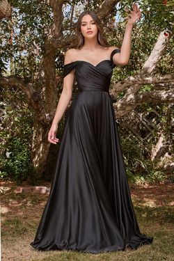Style CD7493C Cinderella Divine Black Size 18 Tall Height Train Plus Size A-line Dress on Queenly