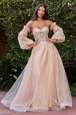 Style CD948 Cinderella Divine Gold Size 10 Lace Sleeves Floor Length A-line Dress on Queenly