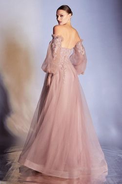Style CD948 Cinderella Divine Pink Size 8 Sleeves Lace Floor Length A-line Dress on Queenly