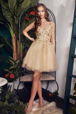 Style CD9245 Cinderella Divine Gold Size 20 Tall Height Tulle Lace Cocktail Dress on Queenly