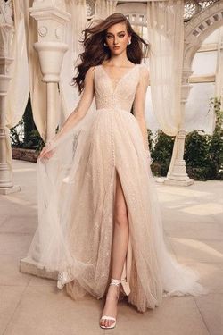 Style Addey Chic Nostalgia Nude Size 14 Corset Addey Sleeves Lace Floor Length A-line Dress on Queenly