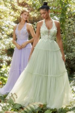 Style CDA1206 Andrea and Leo Green Size 10 Tall Height Lace Tulle A-line Ball gown on Queenly