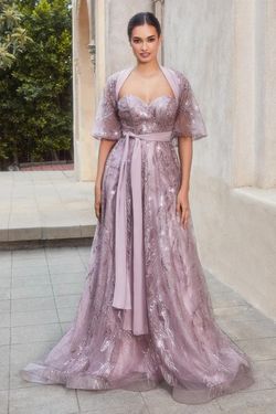 Style CDA1174 Andrea and Leo Purple Size 12 Plus Size Cape Tall Height Ball gown on Queenly