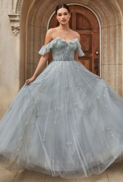 Style CDA1092 Andrea and Leo Gray Size 16 Plus Size Tulle Sleeves Sheer Ball gown on Queenly