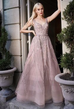 Style CDA1091 Andrea and Leo Pink Size 14 Tall Height Prom Tulle Pageant Ball gown on Queenly